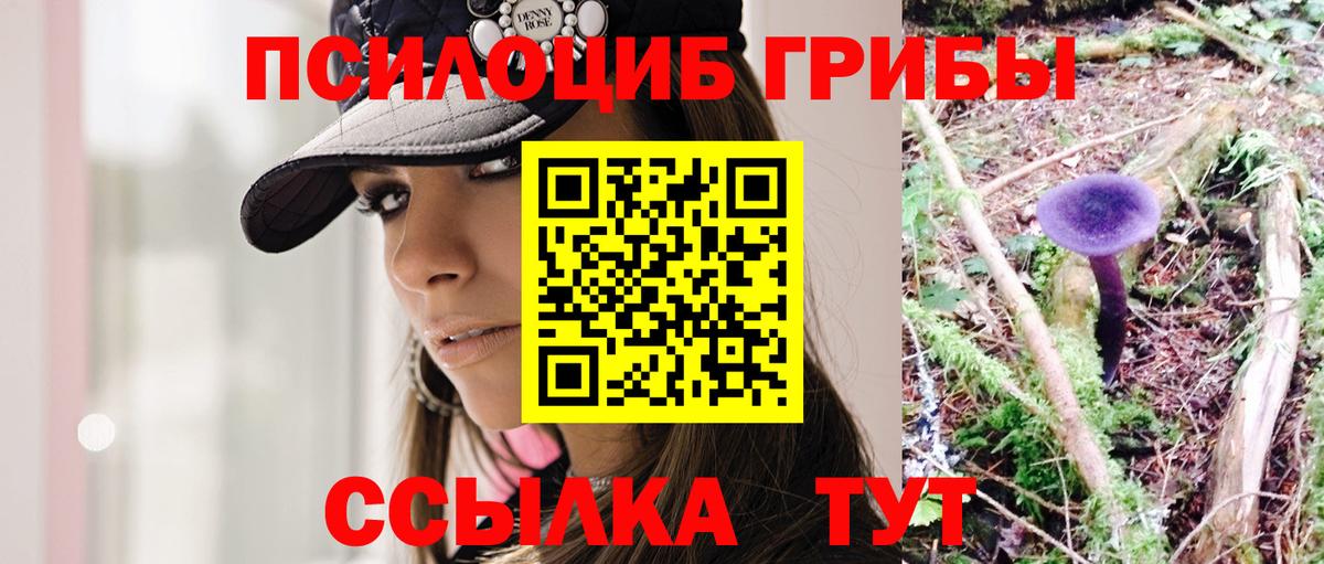 Галлюциногенные грибы Cubensis Салехард